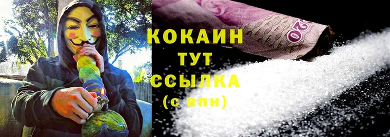 как найти   Волосово  Cocaine VHQ 